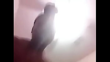 porno 2023 blacks african huge sperms