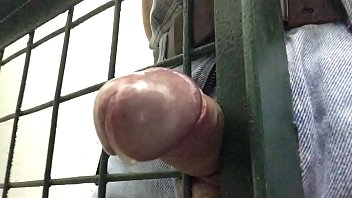 Sticking my foreskin cock through the meta;work of a gate and masturbating til i cum Sticking my foreskin cock through the meta;work of a gate and masturbating til i cum