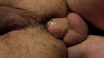 Breeding the Breeding the
