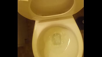 Pee in the toilet Pee in the toilet