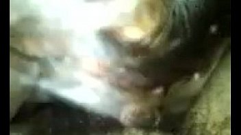 My b sucking mee