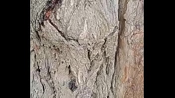 Verification video Verification video