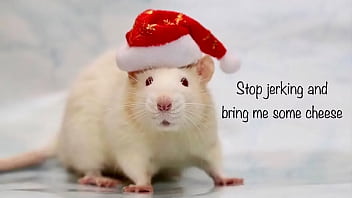 Holliday greeting from roger Holliday greeting from roger