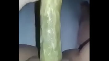 Pepino Pepino