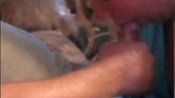 Head xvideo #208715