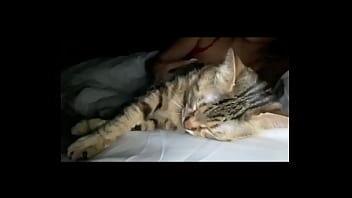 Kinky kitty compilation video 131