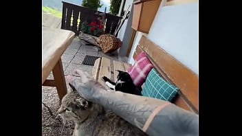 Running with lily-lu-filmz and the cat makes break time so sweet ️who’s your favorite running companion #runn