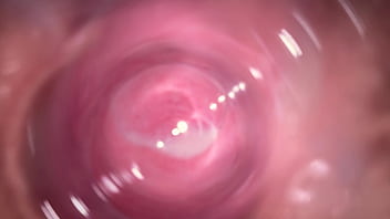 black penis inside vagina camera