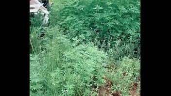 surprise attack outdoor porn