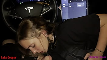 self driving tesla