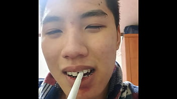 gay human animal animated porn