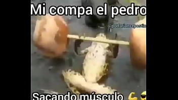 navneet rana porn movies