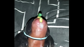 cock and ball torture gay