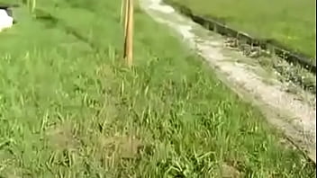 tied to a tree and gangbanged by strangers