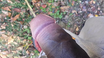 showing my dick to other guys at the urinal