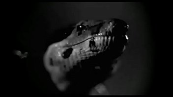 hairy classic dp orgy