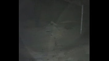 crossdresser suck on the street