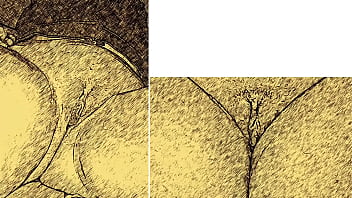 Cgi naked short film artist