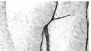 Cgi naked short film artist