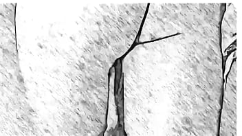 Cgi naked short film artist