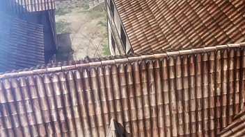 Pega pega dos titan safados