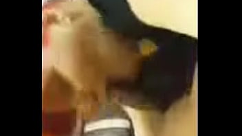 Sucking dick or west stephanie