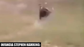 Los misterios de ari 51