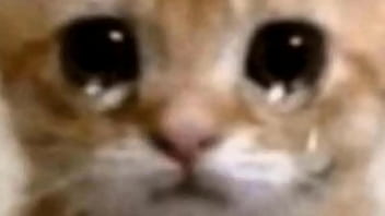 Los misterios de ari 51