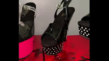 Omggggg i went to a store i haven’t been to before in providence i wish they had a twitter catz exotic wear i rare