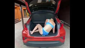 Лиса рулит раздевается