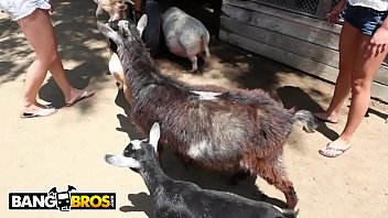 Bangbros fuck team five trip with britney amber mia lelani & angel vain