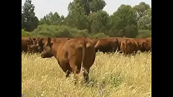 Youtube organic farming dealing with worms in livestock organically