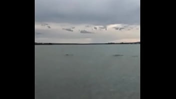 Trocando o oléo da maquina