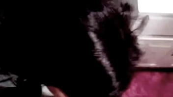 Just swallow my sperm