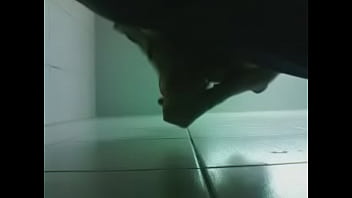 Filapotheigeandwomans60