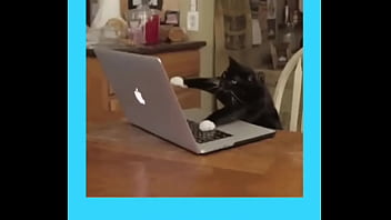 Model tip monday get vip statuswatch this helpful model tip to get even more traffic & bonuses if you need