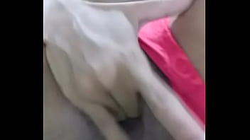 Novissima figueiredo am