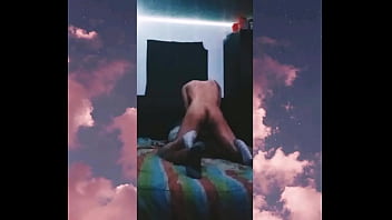 Compañera de cuarto