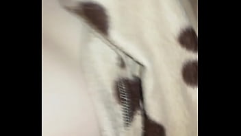 Video de vérification