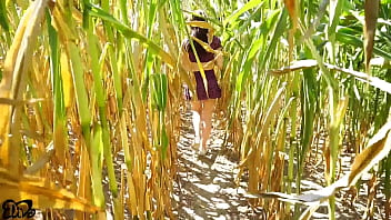 Horny blowjob in a corn field