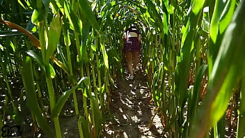 Horny blowjob in a corn field