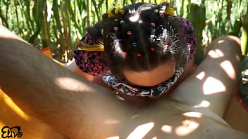 Horny blowjob in a corn field