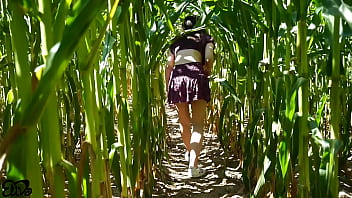 Horny blowjob in a corn field