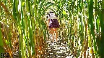 Horny blowjob in a corn field