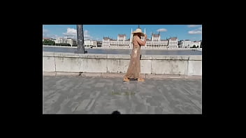 Ariela rider public flashing transparent dres