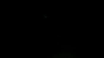 Shorty throwing it back