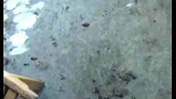 Brünette piercings rasiert