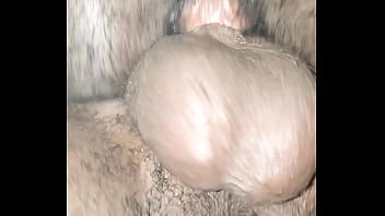 Hairy pussy
