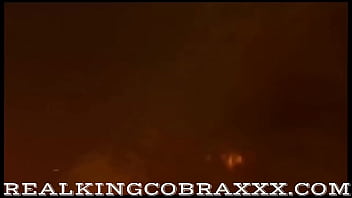 That's a cobra for sugar milf meets king cobra