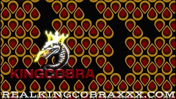 That's a cobra for sugar milf meets king cobra